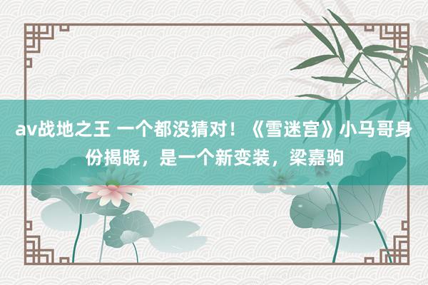 av战地之王 一个都没猜对！《雪迷宫》小马哥身份揭晓，是一个新变装，梁嘉驹