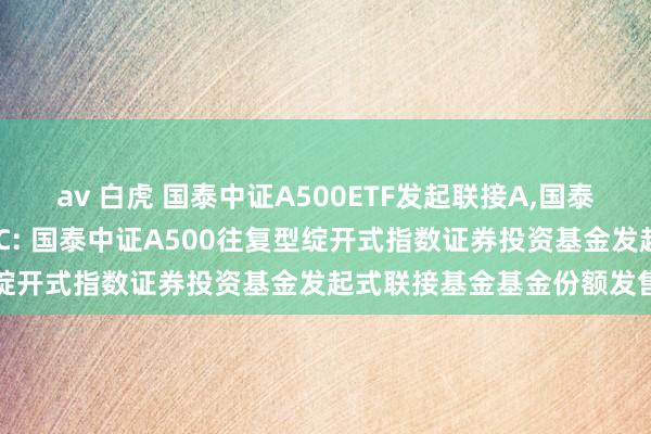 av 白虎 国泰中证A500ETF发起联接A,国泰中证A500ETF发起联接C: 国泰中证A500往复型绽开式指数证券投资基金发起式联接基金基金份额发售公告