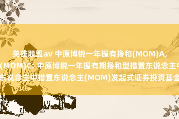 英雄联盟av 中原博锐一年握有搀和(MOM)A，中原博锐一年握有搀和(MOM)C: 中原博锐一年握有期搀和型措置东说念主中措置东说念主(MOM)发起式证券投资基金剩余财产分派公告