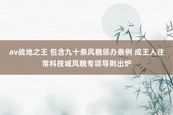 av战地之王 包含九十条风貌惩办条例 成王人往常科技城风貌专项导则出炉