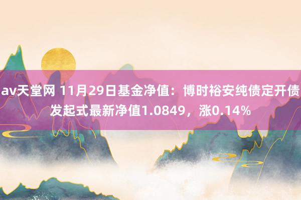 av天堂网 11月29日基金净值：博时裕安纯债定开债发起式最新净值1.0849，涨0.14%
