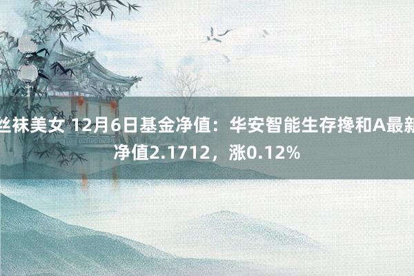 丝袜美女 12月6日基金净值：华安智能生存搀和A最新净值2.1712，涨0.12%