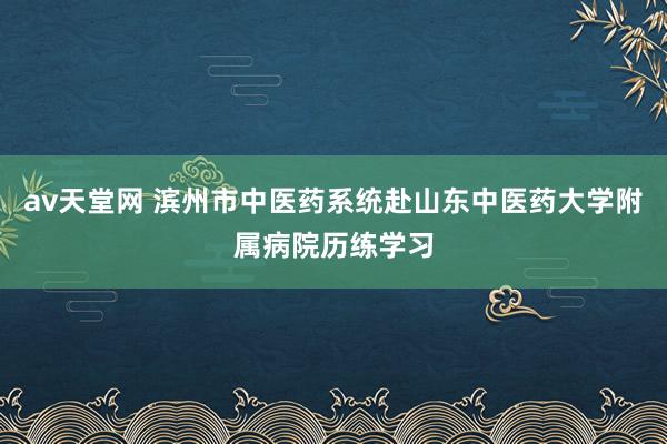 av天堂网 滨州市中医药系统赴山东中医药大学附属病院历练学习