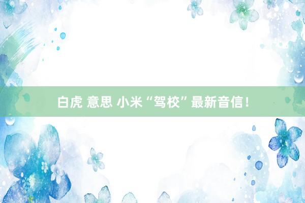 白虎 意思 小米“驾校”最新音信！