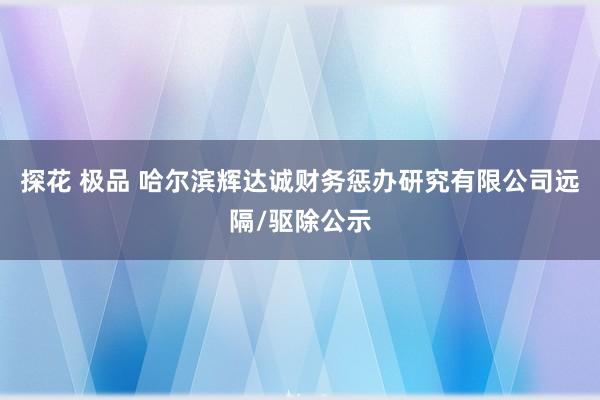 探花 极品 哈尔滨辉达诚财务惩办研究有限公司远隔/驱除公示