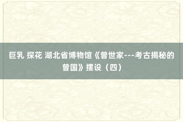 巨乳 探花 湖北省博物馆《曾世家---考古揭秘的曾国》摆设（四）