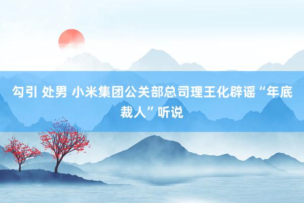 勾引 处男 小米集团公关部总司理王化辟谣“年底裁人”听说