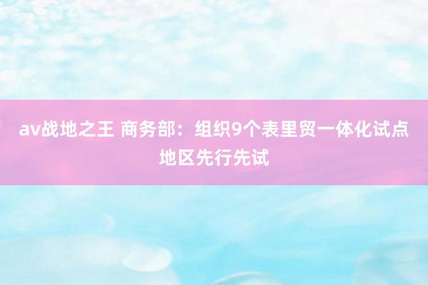 av战地之王 商务部：组织9个表里贸一体化试点地区先行先试