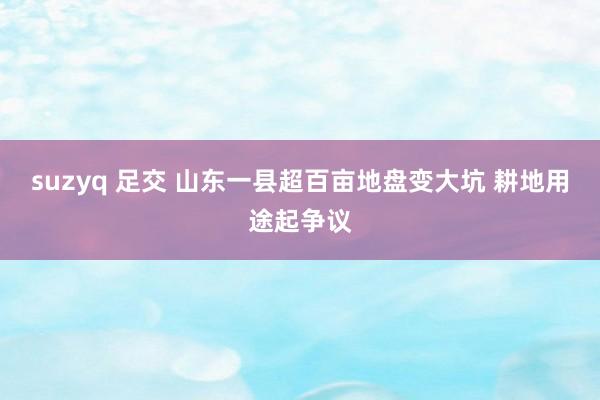 suzyq 足交 山东一县超百亩地盘变大坑 耕地用途起争议