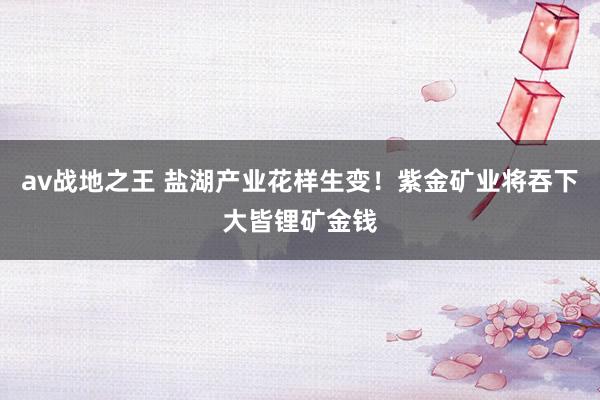 av战地之王 盐湖产业花样生变！紫金矿业将吞下大皆锂矿金钱