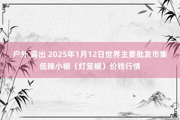 户外 露出 2025年1月12日世界主要批发市集低辣小椒（灯笼椒）价钱行情