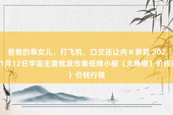 爸爸的乖女儿，打飞机，口交还让禸＃萝莉 2025年1月12日宇宙主要批发市集低辣小椒（大角椒）价钱行情