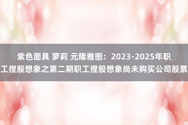 紫色面具 萝莉 元隆雅图：2023-2025年职工捏股想象之第二期职工捏股想象尚未购买公司股票