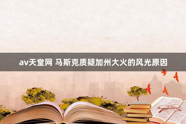 av天堂网 马斯克质疑加州大火的风光原因