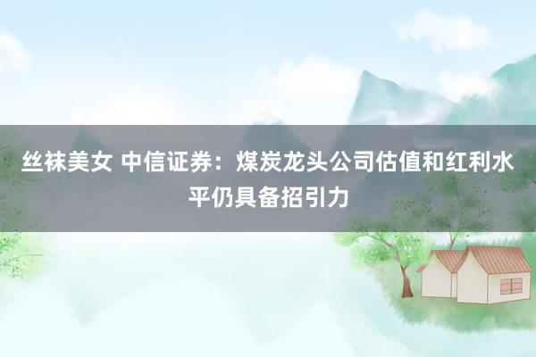丝袜美女 中信证券：煤炭龙头公司估值和红利水平仍具备招引力
