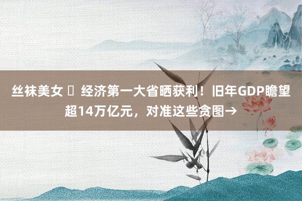 丝袜美女 ​经济第一大省晒获利！旧年GDP瞻望超14万亿元，对准这些贪图→