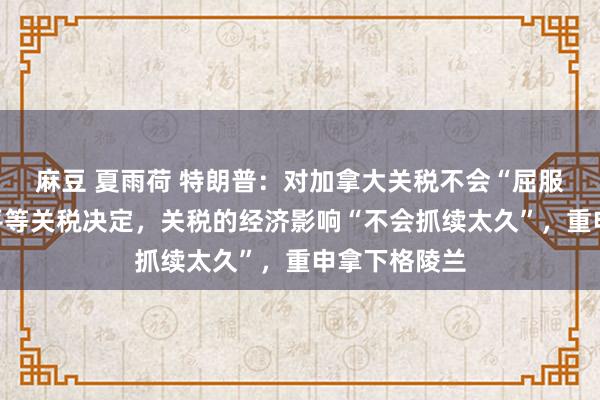 麻豆 夏雨荷 特朗普：对加拿大关税不会“屈服”，不编削平等关税决定，关税的经济影响“不会抓续太久”，重申拿下格陵兰