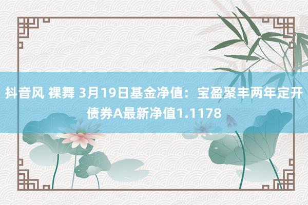 抖音风 裸舞 3月19日基金净值：宝盈聚丰两年定开债券A最新净值1.1178