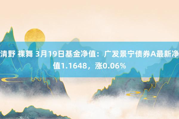 清野 裸舞 3月19日基金净值：广发景宁债券A最新净值1.1648，涨0.06%