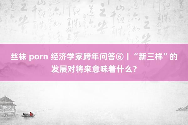 丝袜 porn 经济学家跨年问答⑥丨“新三样”的发展对将来意味着什么？