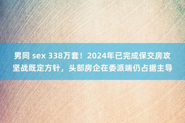 男同 sex 338万套！2024年已完成保交房攻坚战既定方针，头部房企在委派端仍占据主导