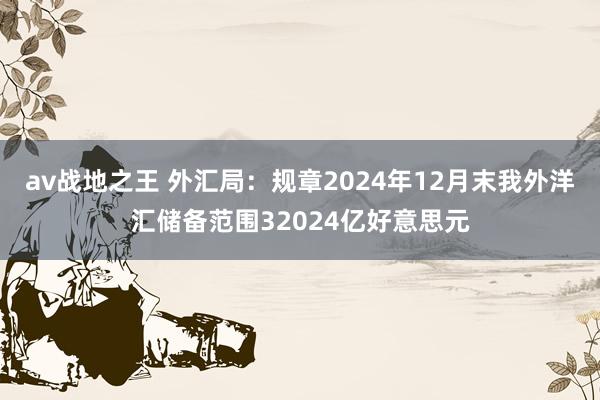 av战地之王 外汇局：规章2024年12月末我外洋汇储备范围32024亿好意思元