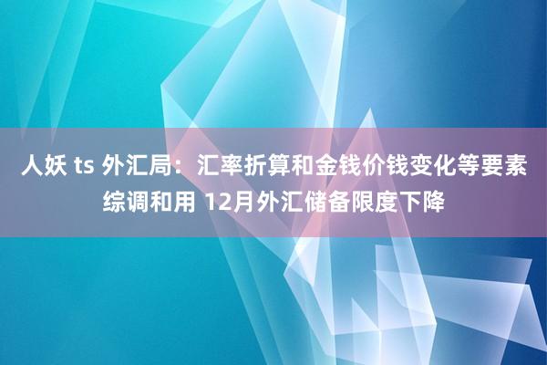 人妖 ts 外汇局：汇率折算和金钱价钱变化等要素综调和用 12月外汇储备限度下降