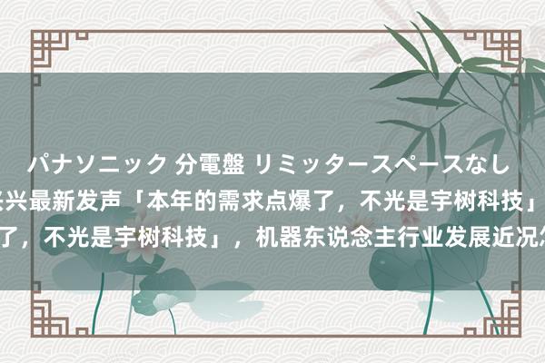 パナソニック 分電盤 リミッタースペースなし 露出・半埋込両用形 王兴兴最新发声「本年的需求点爆了，不光是宇树科技」，机器东说念主行业发展近况怎样？