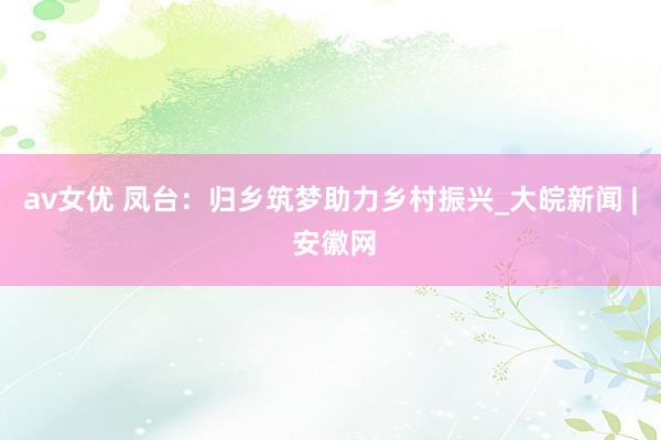 av女优 凤台：归乡筑梦助力乡村振兴_大皖新闻 | 安徽网