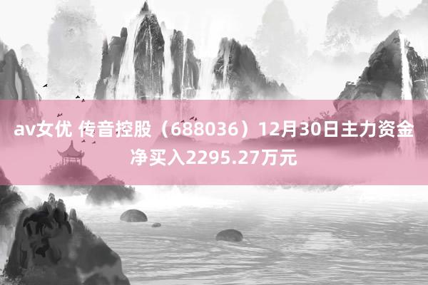 av女优 传音控股（688036）12月30日主力资金净买入2295.27万元