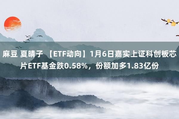 麻豆 夏晴子 【ETF动向】1月6日嘉实上证科创板芯片ETF基金跌0.58%，份额加多1.83亿份