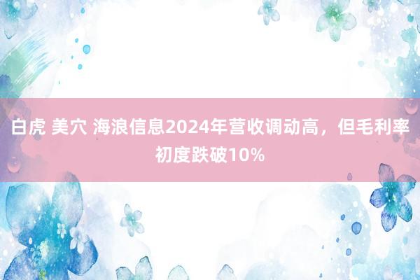 白虎 美穴 海浪信息2024年营收调动高，但毛利率初度跌破10%