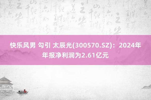 快乐风男 勾引 太辰光(300570.SZ)：2024年年报净利润为2.61亿元
