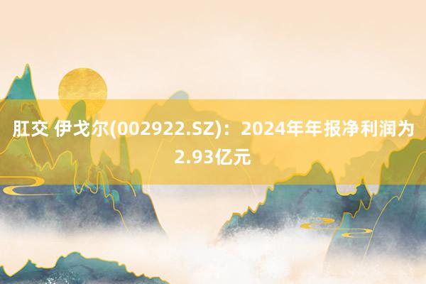 肛交 伊戈尔(002922.SZ)：2024年年报净利润为2.93亿元
