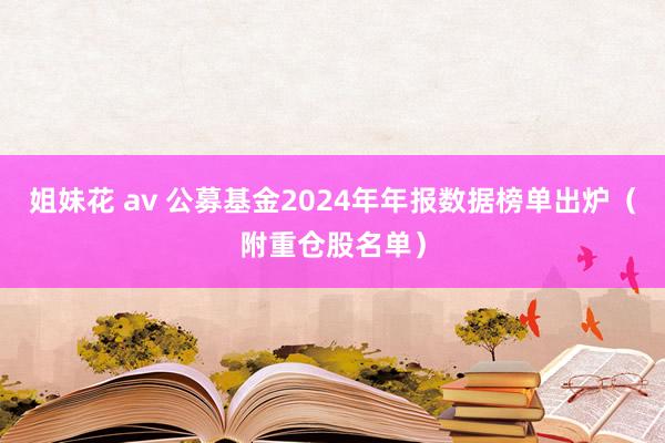 姐妹花 av 公募基金2024年年报数据榜单出炉（附重仓股名单）