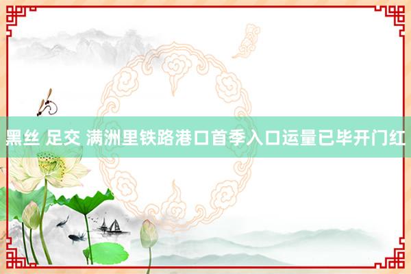 黑丝 足交 满洲里铁路港口首季入口运量已毕开门红