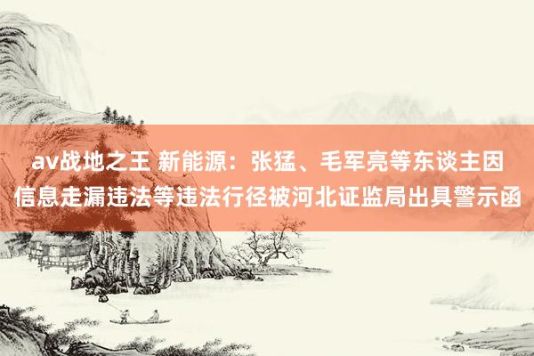 av战地之王 新能源：张猛、毛军亮等东谈主因信息走漏违法等违法行径被河北证监局出具警示函